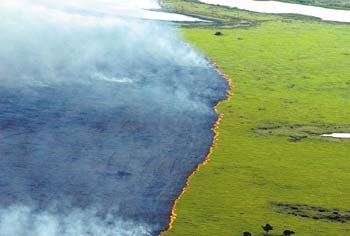 Focos de incêndio no Pantanal quadruplicaram em agosto